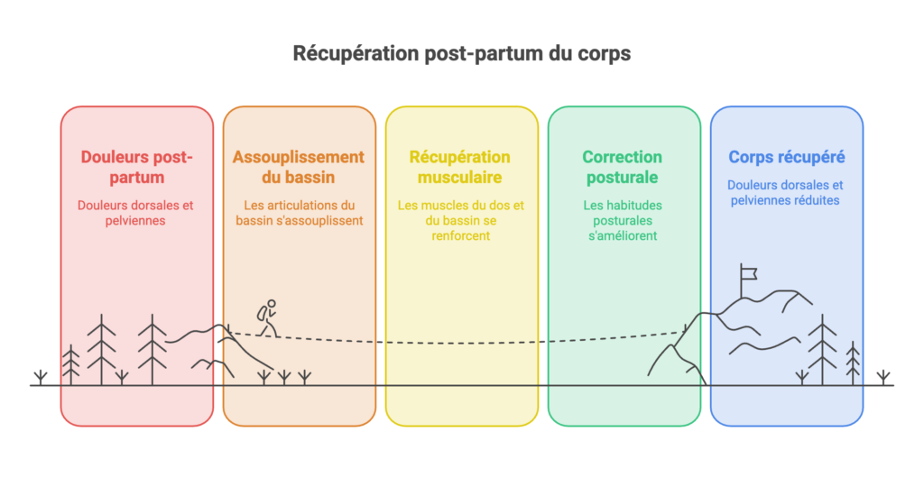 Schéma des étapes de récupération post-partum : douleurs initiales, assouplissement du bassin, renforcement musculaire et correction posturale