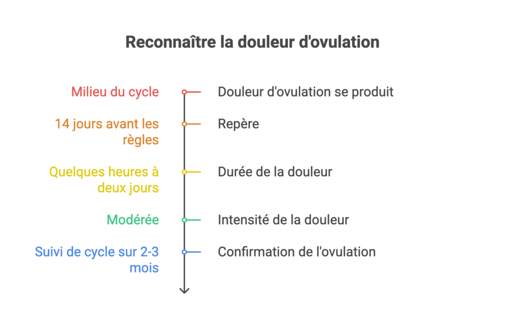 Caractéristiques habituelles de la douleur d'ovulation : survenue au milieu du cycle, durée de quelques heures à deux jours, intensité modérée, confirmation par le suivi du cycle
