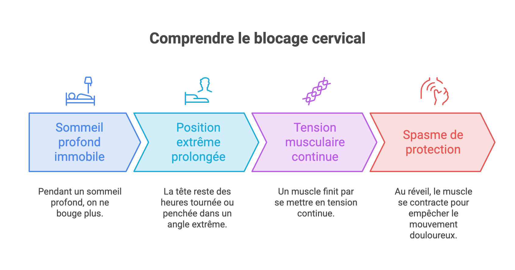 Torticolis au réveil : pourquoi le cou se bloque, et comment réagir Mécanisme du blocage cervical au réveil : immobilité du sommeil profond, position extrême prolongée, tension musculaire continue puis spasme de protection