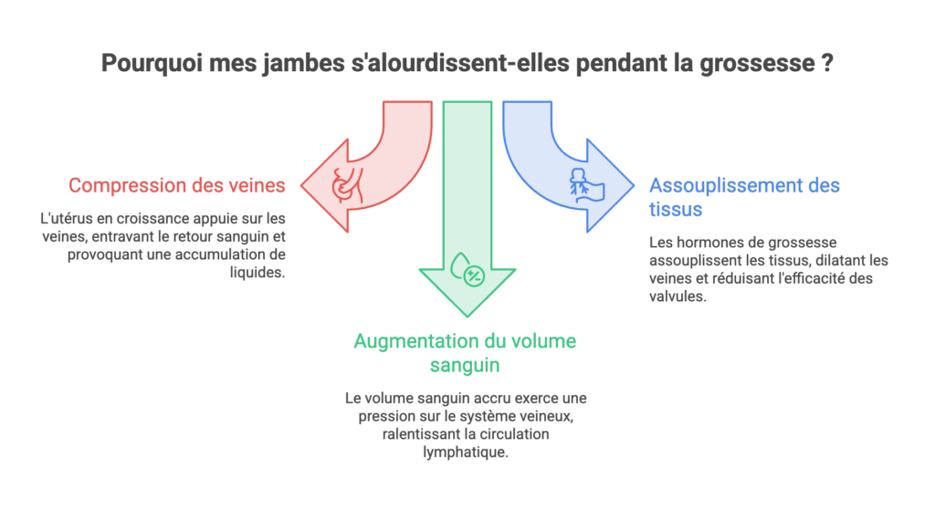 Jambes lourdes pendant la grossesse : pourquoi, et ce qui soulage Trois causes des jambes lourdes pendant la grossesse : compression des veines par l'utérus, augmentation du volume sanguin et assouplissement hormonal des tissus