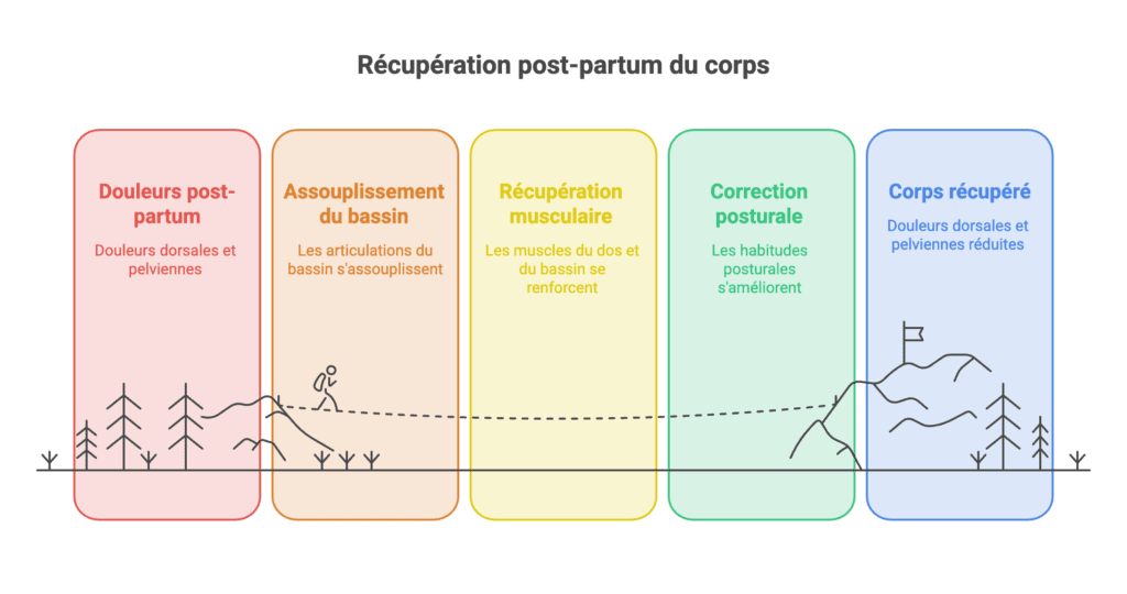 Schéma des étapes de récupération post-partum : douleurs initiales, assouplissement du bassin, renforcement musculaire et correction posturale
