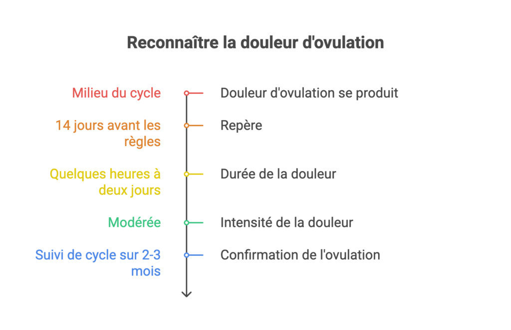 Caractéristiques habituelles de la douleur d'ovulation : survenue au milieu du cycle, durée de quelques heures à deux jours, intensité modérée, confirmation par le suivi du cycle